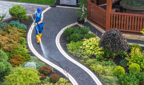 Best House Pressure Washing  in Shongopovi, AZ